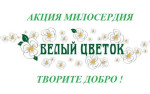 Благотворительная акция "Белый цветок"