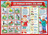 Как правильно кормить птиц зимой