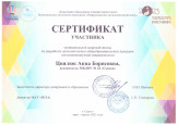 Участие в проведении семинаров, вебинаров, мастер-классов (приказы, сертификаты)