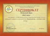 Дипломы и сертификаты (нажми)