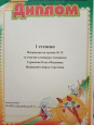 Дипломы и сертификаты (нажми)