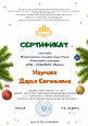 "Новогоднее созвездие" итоги конкурса