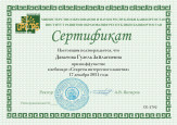 Семинары, конференции