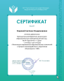 Руководство МО. Активное участие в работе методического объединения