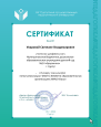 Руководство МО. Активное участие в работе методического объединения