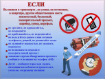 ДЕНЬ СОЛИДАРНОСТИ В  БОРЬБЕ С ТЕРРОРИЗМОМ