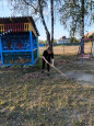 ЗЕЛЕНАЯ РОССИЯ 