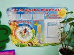 Экологический уголок в группе