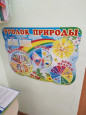 Экологический уголок в группе