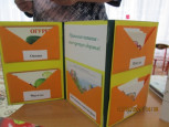 Смотр-конкурс лепбуков по теме "Питаемся вкусно и правильно"
