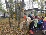  Всероссийский урок "Эколята-молодые защитники природы"