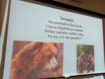 4 октября- Всемирный день защиты животных