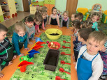  НОД Посадка лука