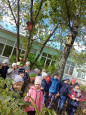 Консультация. "Культура родного края, как форма экологического воспитания дошкольников"