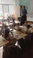 Отрытый показ "Дерево осенью"