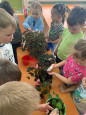 Мир комнатных растений