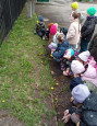 "Мы-юные экологи и друзья природы!