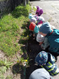 «Весеннее путешествие по экологической тропе»