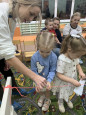 совместное развлечение с родителями ко Дню матери  в средней группе «Ах, какая мама!»