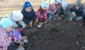 Всероссийский урок "Эколята-молодые защитники природы"