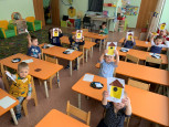 Проект "Перелётные птицы"