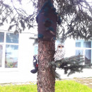 Экологическая тропа в ДОУ