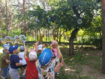 Праздник мыльных пузырей