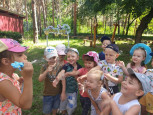 Праздник мыльных пузырей
