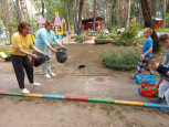 Маршрутная игра "Экологическая радуга" из цикла "Эколята-дошколята".