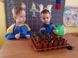 Экоуголок в группе (часть 1)