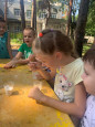"Волшебница вода. Опыты и эксперименты с водой" (старшие группы)