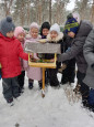 Экологическая акция «Синичкин день» из цикла «Покормите птиц зимой»