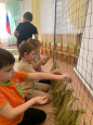 Продолжается акция "Добро" (плетем сеть для бойцов СВО) 