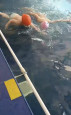 Неделя ЗОЖ  средняя группа