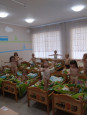 Неделя ЗОЖ  1 младшая группа