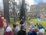 Акция "Добрый скворечник" из цикла "Эколята-дошколята"