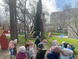 Акция "Добрый скворечник" из цикла "Эколята-дошколята"