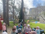 Акция "Добрый скворечник" из цикла "Эколята-дошколята"