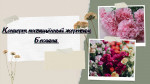 Концерт, посвящённый жертвам Беслана