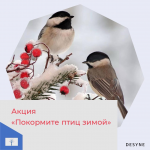 Областная экологическая акция «Покормите птиц зимой»