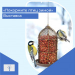 Выставка «Кормушка у меня во дворе»