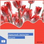 Патриотическая акция «Красный тюльпан»