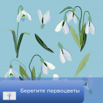 Берегите первоцветы