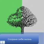 Профилактическая беседа по борьбе с наркотиками
