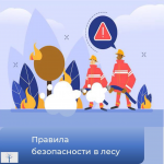 Правила безопасности в лесу