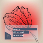 Акция «Красный тюльпан»