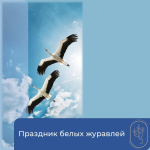 Праздник белых журавлей