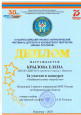 IV Всероссийский героико -патриотический фестиваль Звезда Спасения