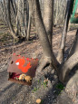 На территории МБУДО ДШИ№14 прошла природоохранная акция «Скворушка»