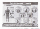 Профилактика гриппа и ОРВИ
